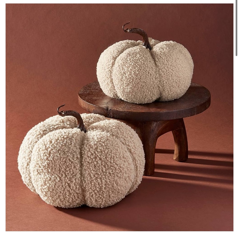 Fall Cozy Pumpkin Decor Set of 2 Sand Colored Thanksgiving